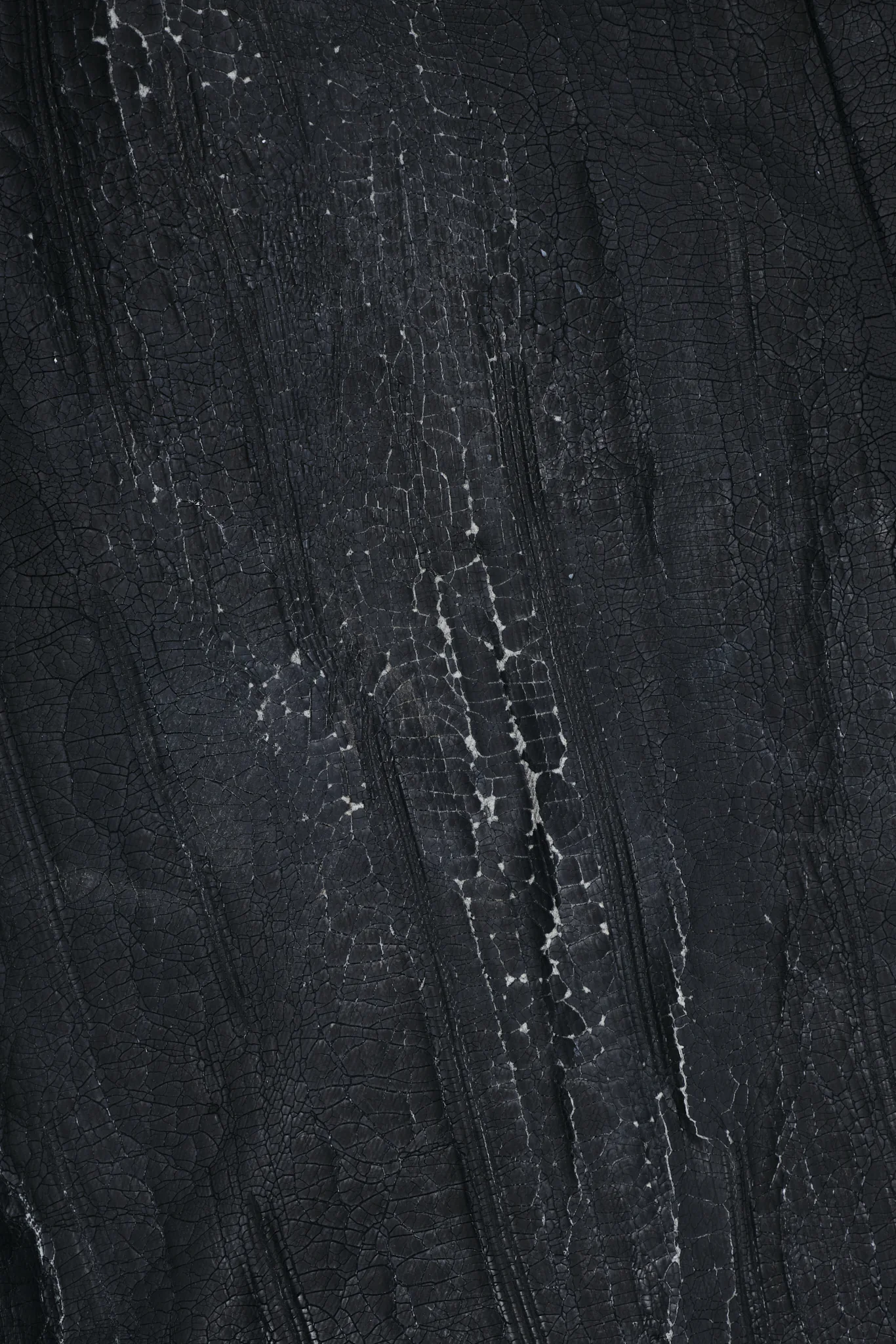 Rock Revival Moto Wax Jeans - Image 15